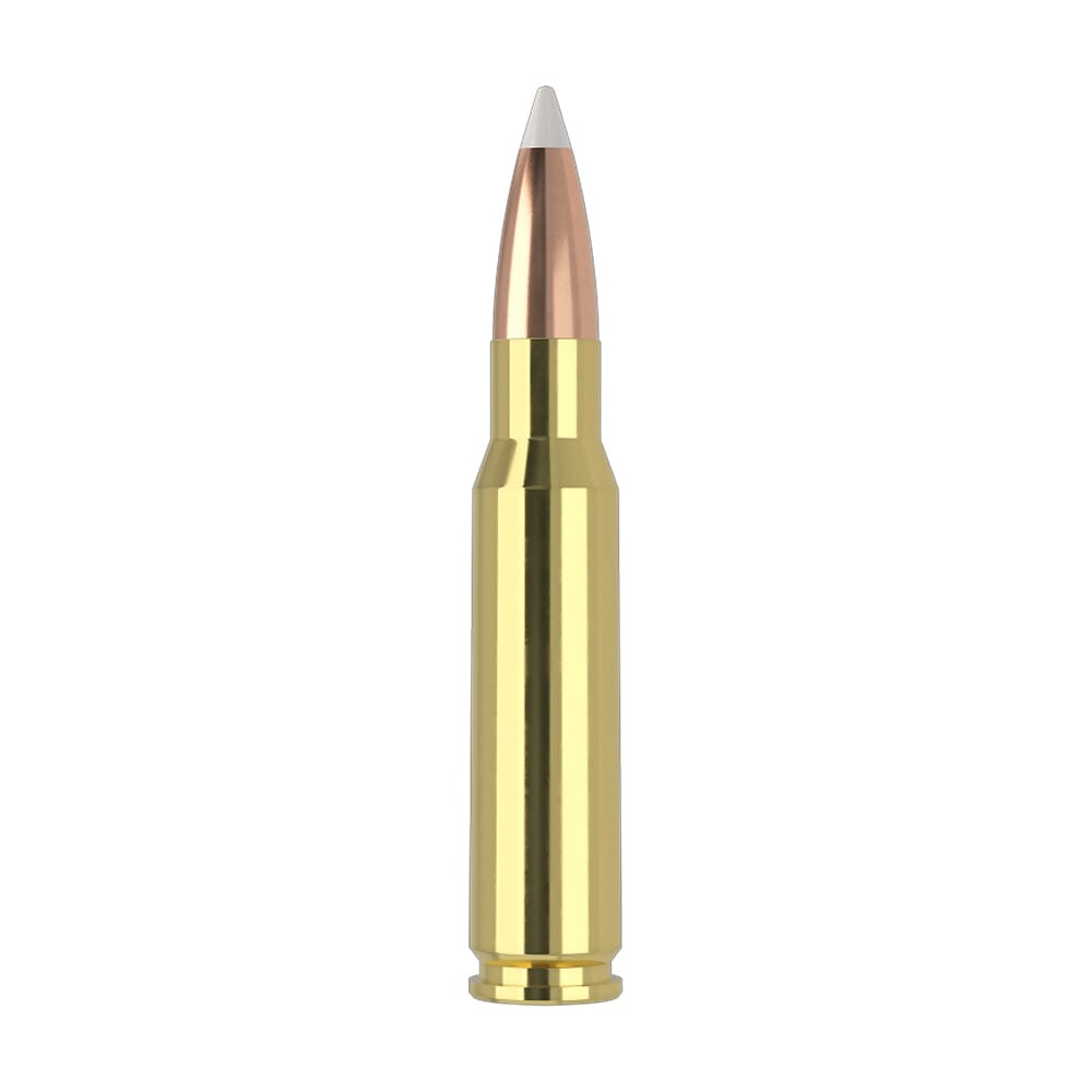 Nosler Trophy Grade TGA-308 Win 165g AB SP (20ct) Ammunition 60049