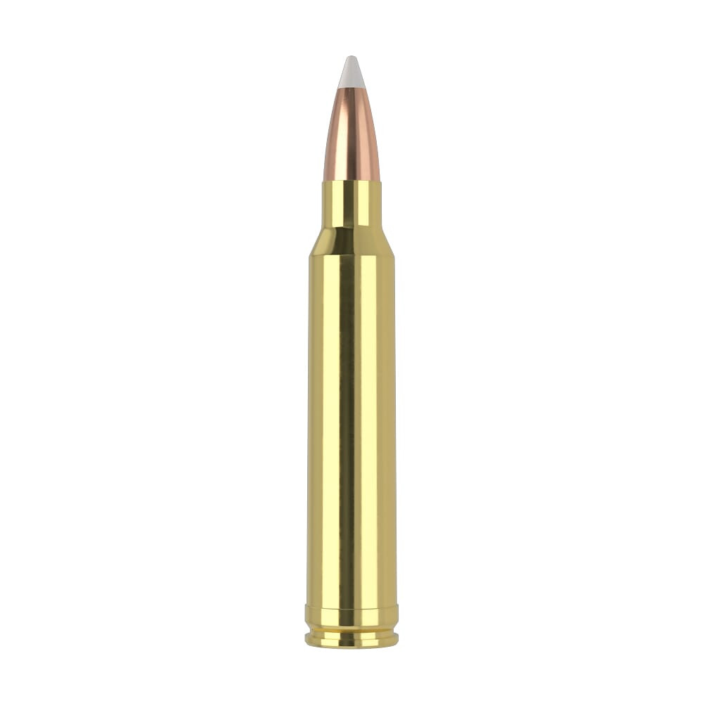 Nosler Trophy Grade TGA-300 Win Mag 180g AB SP (20ct) Ammunition 60059