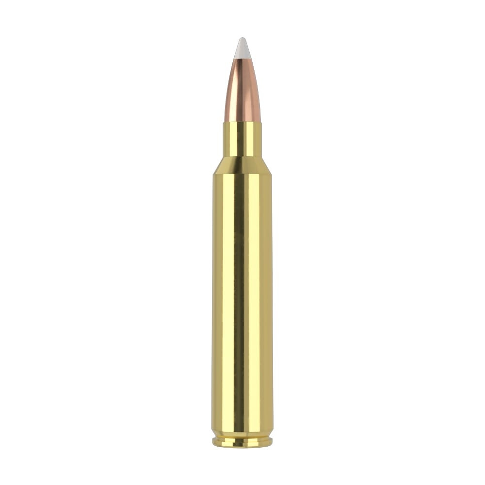 Nosler Trophy Grade TGA-300 RUM 180g AB SP (20ct) Ammunition 60065