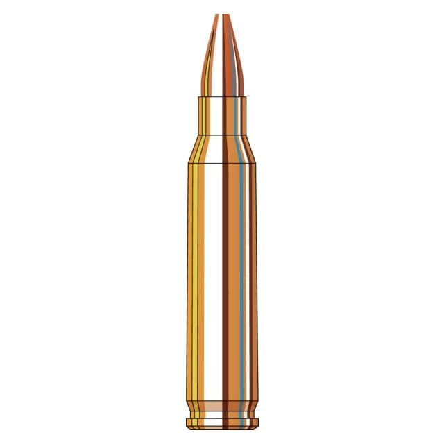 Hornady Frontier Match 5.56 NATO 55gr Hollow Point Oriented Ammunition (150/Box) FR2415