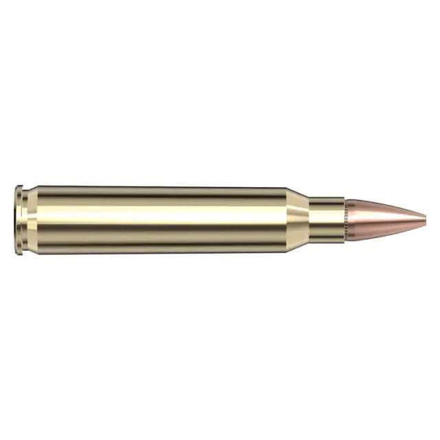Hornady American Gunner .223 Rem 55gr Ammunition w/HP Match Bullets (50/Box) 80237