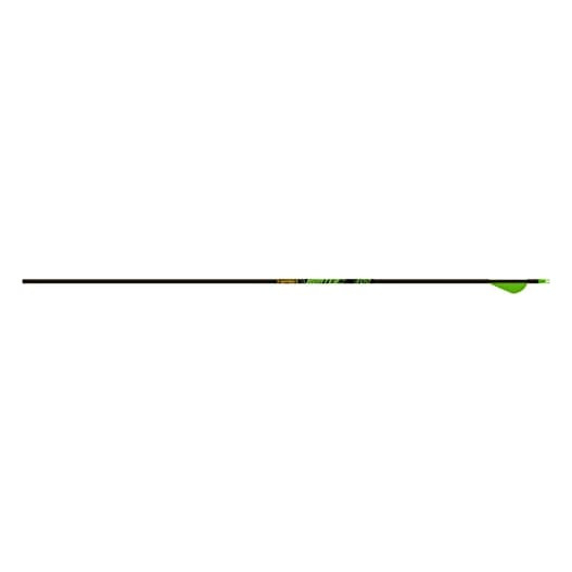 Gold Tip Hunter XT 250 Arrow w/2" Raptor Vanes 12pk HXT250A2
