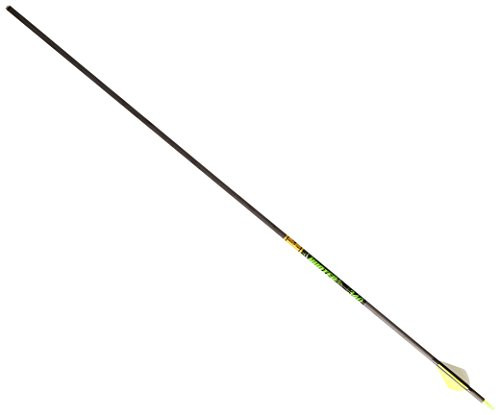 Gold Tip Hunter XT 340 Arrow w/2" Raptor Vanes 6pk HXT340A26