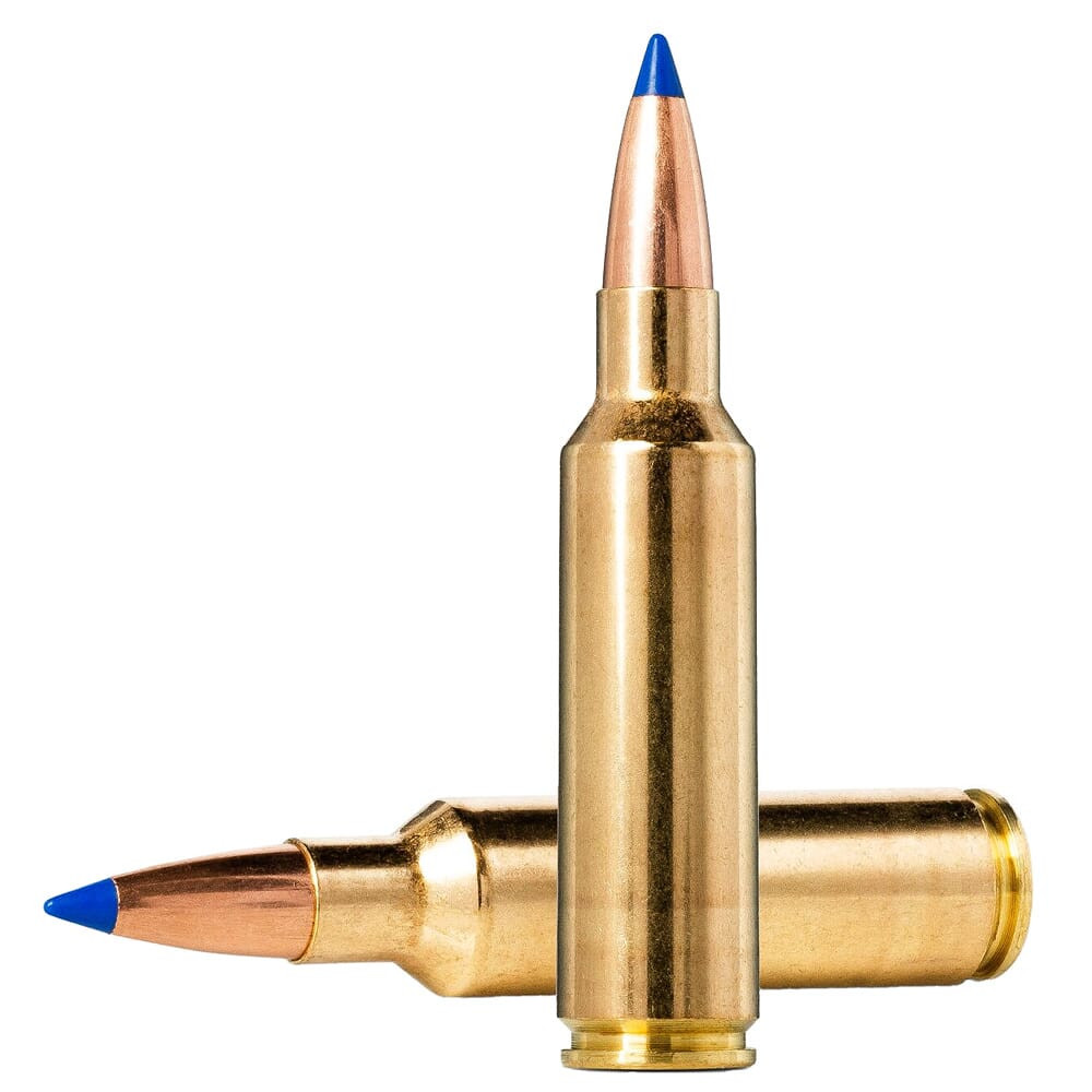 Norma Bondstrike Extreme .300 Win Mag 180gr Centerfire Rifle Ammo (20/box) 20176332