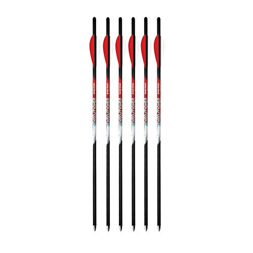 Black Eagle .203 SS Outsert Instinct 500 Spine = 6.00 295