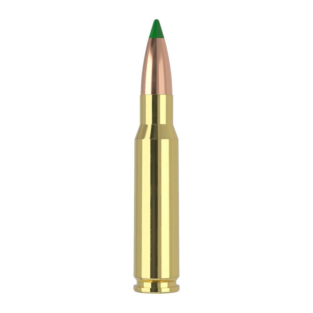 Nosler Ballistic Tip .308 Win/7.62 NATO 165-Grain Centerfire Rifle Ammunition