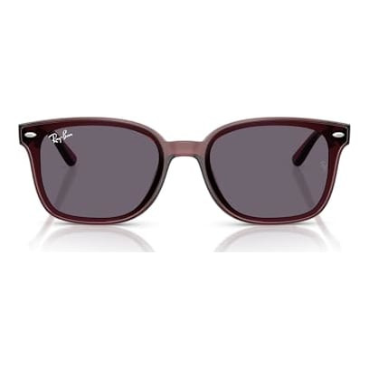 Ray-Ban Transparent Dark Brown Violet 0RB4461D-65937364
