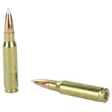 NOSLER 308WIN 165GR AB 20/200 (r)