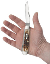 Case Trapper Peach Seed Jig Amber Bone Knife