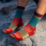 Darn Tough Men's Heady Stripe Crew Hiking Sock - Teal