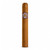 Montecristo Shorts