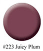 BASIC ONE - Gelacquer Juicy Plum - 1/4oz