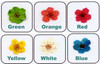 Gamakgal Mini Dried Flowers - 223 Series - 18617