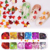 NDi beauty Ice Mylar Nail Art Sparkly Glitter Silver Laser Maple Leaf - 12 Colors