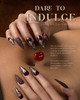 Light Elegance ButterCream Fall/Winter 2025 Dare to Indulge Collection