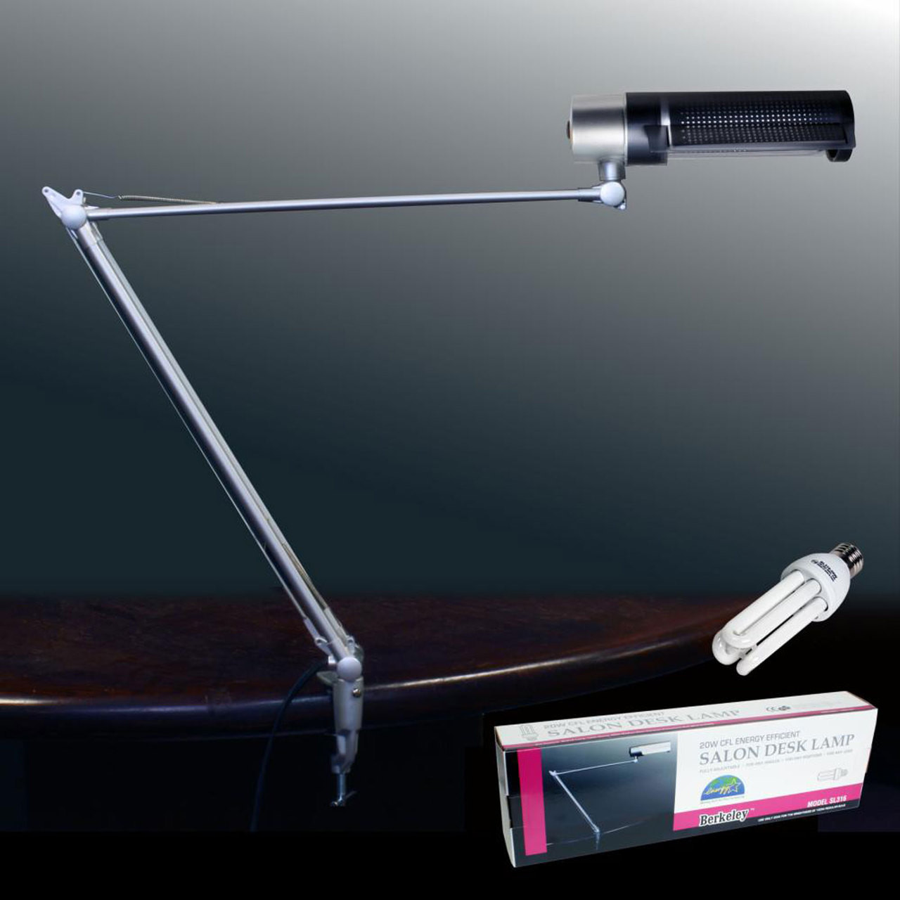 Energy Efficent Salon Desk Lamp with Bulb 20W Black