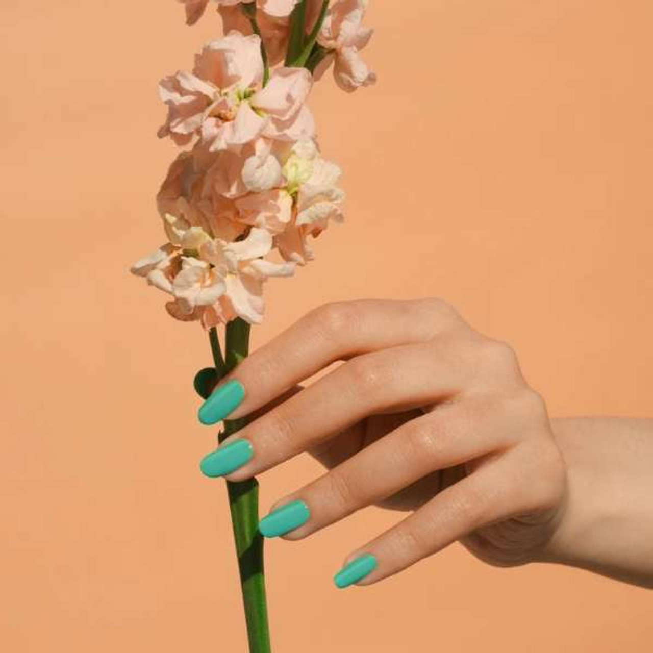 DND - Gel & Lacquer - Green Spring, KY - #569