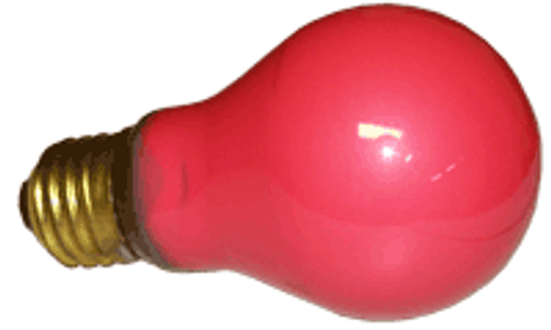 Pedicure Dryer RED Bulb - 60 watt