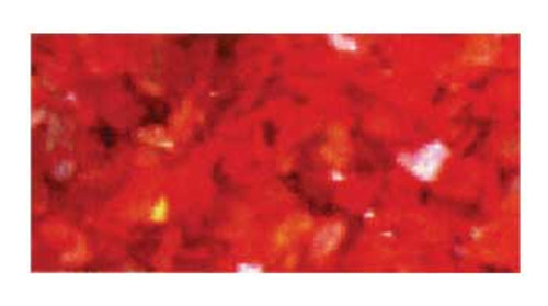 Glam & Glits Crushed Sea Shell - Redazzle  .5oz