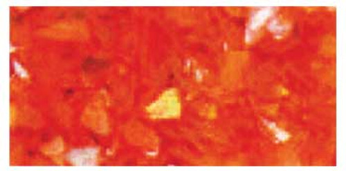 Glam & Glits Crushed Sea Shell - Peachylicious .5oz