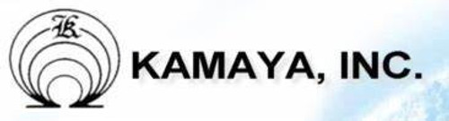 Lot of 10000 KAMAYA OHM RAC101ALCTH  369487