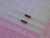 Lot of 2000 SEI RC12JT240R 240 Ohms ±5% 0.5W, 1/2W Through Hole Resistor Axial Non-Inductive, Pulse Withstanding Carbon Composition