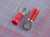 HOLLINGSWORTH SOLDERLESS R3032BN INSULATES RING TERMINAL SIZE 8 X133635