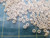 BIVAR TO-10-050  X109265