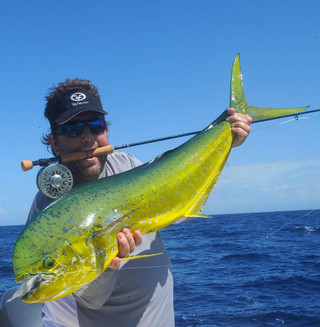 Thumbnail 4: Flying Fisherman Passport 8WT Medium Fly Rod 