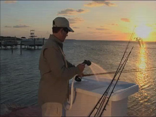 Thumbnail 9: Flying Fisherman Mens Freeline Polarized Sunglasses 