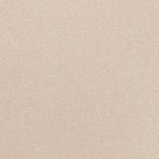 Thumbnail 5: TAN