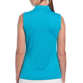 Thumbnail 2: TEAL