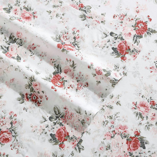 Thumbnail 25: Laura Ashley Laura Ashley Ashfield Cotton Percale Sheet Set 