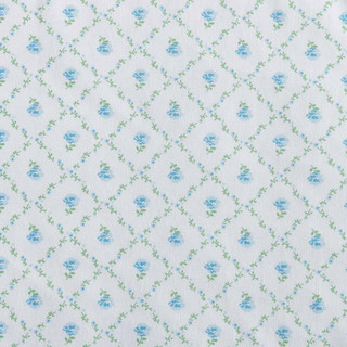Thumbnail 13: Blue/Green