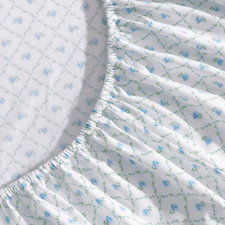 Thumbnail 30: Blue/Green