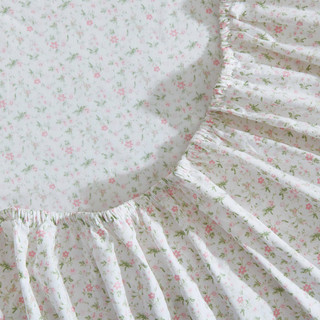 Thumbnail 26: Laura Ashley Laura Ashley Evie Cotton Percale Sheet Set 