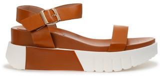 Thumbnail 3: Brown