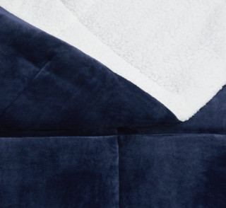 Thumbnail 10: INDIGO