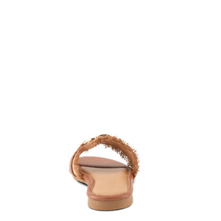 Thumbnail 4: CAMEL