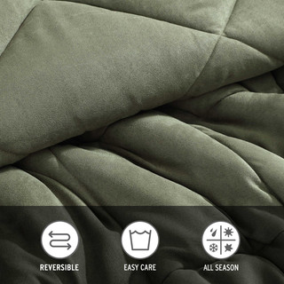 Thumbnail 19: Eddie Bauer Big Plaid Microfiber Comforter & Sham Set 