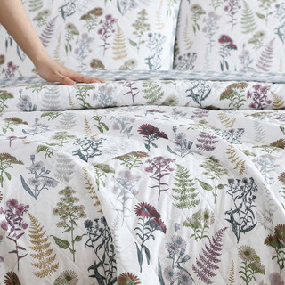 Thumbnail 42: Eddie Bauer Eddie Bauer Flower Field Quilt & Sham Set 