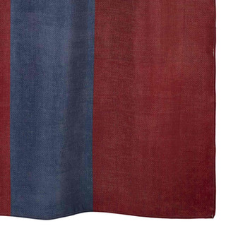 Thumbnail 2: Avanti Avanti Texas Flag Shower Curtain 