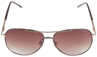 Thumbnail 2: Brown