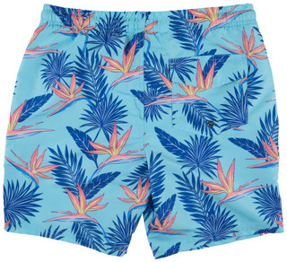 Thumbnail 2: Distortion Distortion Men's Palms Printed Swim Shorts 