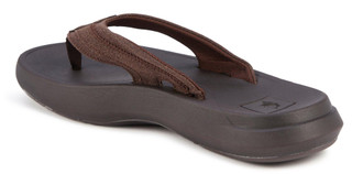 Thumbnail 3: BROWN