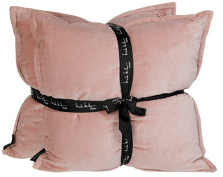 Thumbnail 2: Nicole Miller Nicole Miller 20x20 2pk Dried Velvet Decorative Pillow Set 