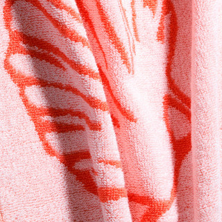 Thumbnail 5: Coral