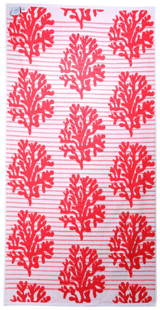 Thumbnail 3: Coral