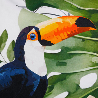 Thumbnail 5: Coastal Home Coastal Home 18x18 Birds of Paradise Decorative Pillow 