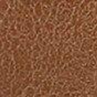 Thumbnail 8: Tan Gold